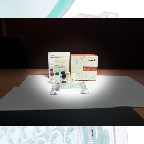 Lablisa® Mirco (MF) Elisa kit