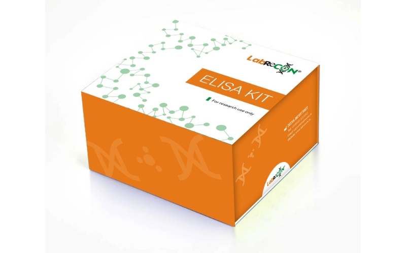 Lablisa® Human p-cresol ELISA Kit
