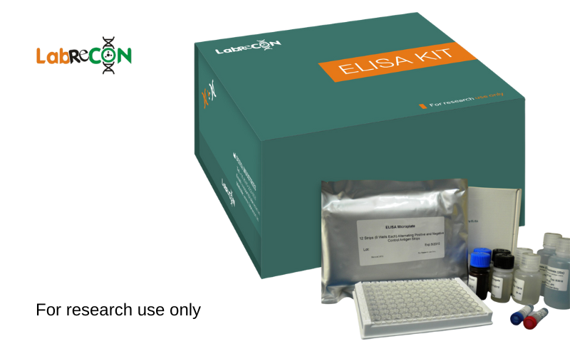 Lablisa® Mouse IL6(Interleukin 6) ELISA Kit 