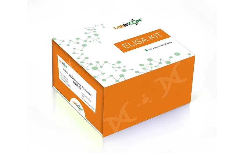 Lablisa® LTD4 (Leukotriene D4) ELISA Kit